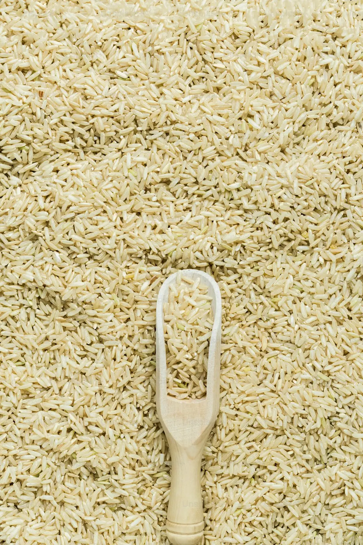 Grains of raw white rice